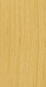 Roble